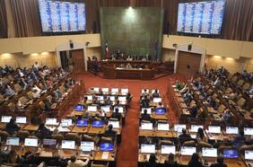 “Ignoranta”, “payaso”, “vieja loca” y otros episodios que han puesto a prueba a la Cámara