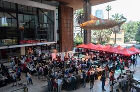 Escritoras invitadas y más de 160 editoriales: La Furia del Libro tendrá su versión de fin de año en el GAM