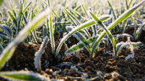 Pronostican temperaturas bajo cero para los próximos días entre las regiones de Valparaíso y Biobío