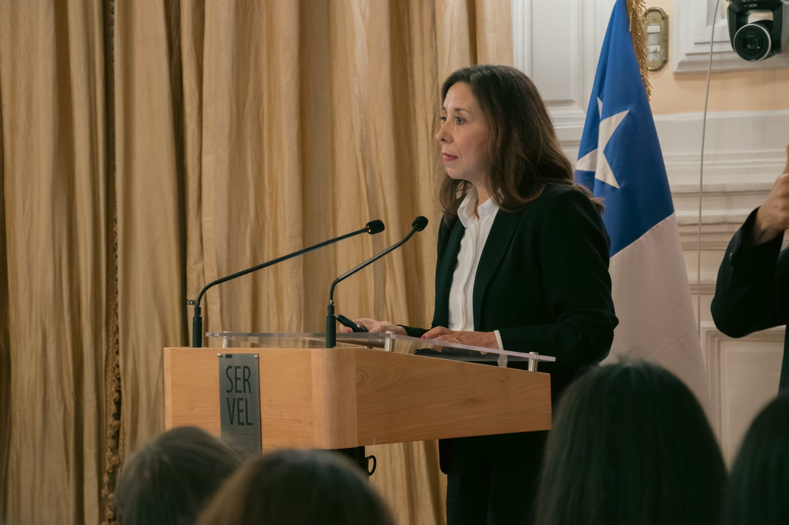 La presidenta del Consejo Directivo del Servel, Pamela Figueroa.