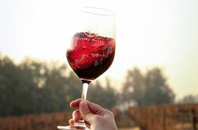 Dónde ir a brindar por el Día Nacional del Vino
