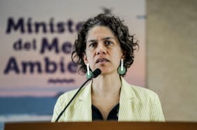 Comisión de Medio Ambiente del Senado aprueba idea de legislar de proyecto que fortalece la SMA