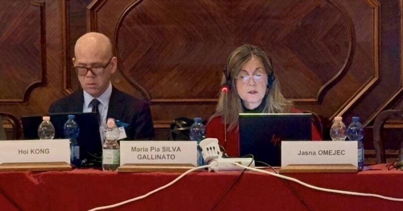 Jueza chilena elegida vicepresidenta de la Subcomisión de Latinoamérica en la Comisión de Venecia