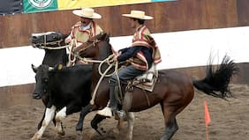 Ministro Undurraga reivindica el rodeo: “Una tradición arraigada en lo más profundo de nosotros”