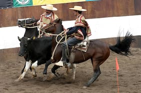 “Antiespecistas”: los grupos que piden la renuncia del ministro de Agricultura por apoyo y proyecto a favor del rodeo