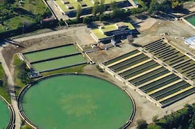 El negocio sanitario que llevó a la familia del senador Rodrigo Galilea a asociarse a holding de Arabia Saudita