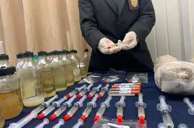 Incautan 68 kilos de hongos alucinógenos en San Carlos: es el mayor decomiso a la fecha en el país