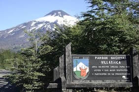 Decretan alerta roja en Pucón por incendio en el Parque Nacional Villarrica