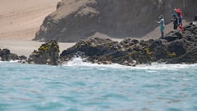 Declaran alerta climática en Perú frente al desarrollo de “El Niño Costero” desde marzo