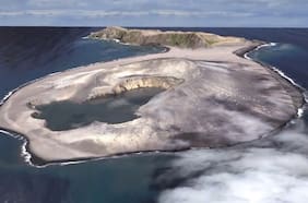 Descubren nuevas formas de vida en isla desaparecida tras erupción