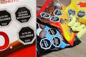 Chile, país con 30% de obesos según la OCDE: ¿Sirve la Ley de Sellos?