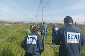 Encuentran restos de cráneo humano “en avanzado estado de descomposición” en Colina