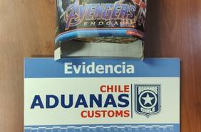 Aduana incauta una cría de yacaré embalsamada en el equipaje de un pasajero de bus en paso fronterizo de Arica