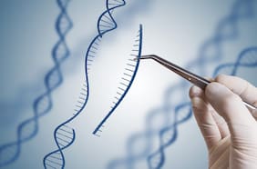 ¿Hulk? Científicos sorprendidos tras experimento genético que convirtió a dóciles mascotas en animales hiperagresivos