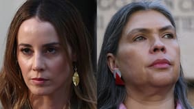 “Es lamentable”: Sedini critica al PC tras calificar como “gustito ideológico” petición de extradición de Galvarino Apablaza