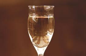 Pisco chileno, en su mejor momento