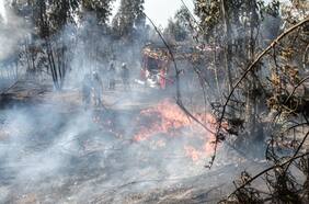 Incendio forestal destruye dos galpones y dos viviendas en La Pintana