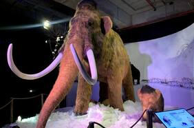 La Era del Hielo revive en Costanera Center con Criaturas extremas