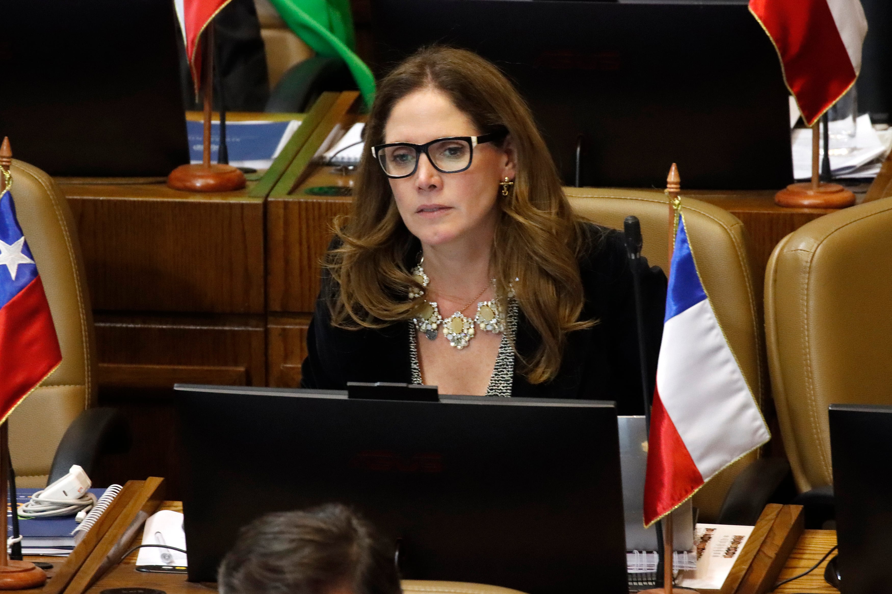 19 MAYO 2026
DIPUTADA MACARENA SANTELICES.
FOTO: DEDVI MISSENE