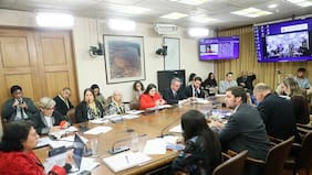 Proyecto que prohíbe y sanciona la maternidad subrogada con cárcel avanza en comisión de la Cámara de Diputados