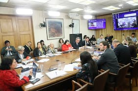 Proyecto que prohíbe y sanciona la maternidad subrogada con cárcel avanza en comisión de la Cámara de Diputados