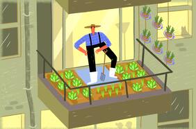 Consejos para sembrar y cultivar en invierno