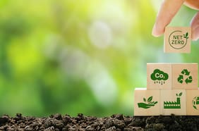 Emprender para descarbonizar: la clave hacia la transición climática