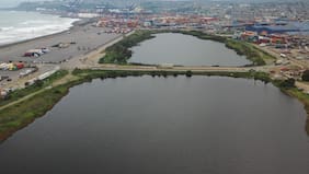 “Totalmente incompatible”: Fallo de tribunal ambiental pone en aprietos a mega proyecto portuario en San Antonio