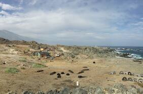 ¿Superó al de Valdivia? El desconocido “megaterremoto” magnitud 9,5 y posterior tsunami que devastó las costas del norte