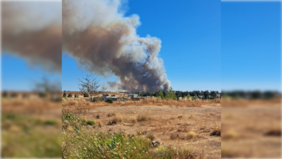Declaran alerta roja en Ninhue por incendio forestal cercano a sectores habitados