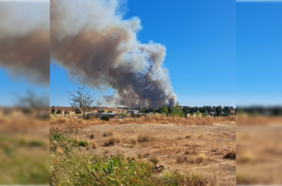 Declaran alerta roja para Chillán Viejo por incendio forestal