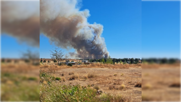 Declaran alerta roja en Ninhue por incendio forestal cercano a sectores habitados