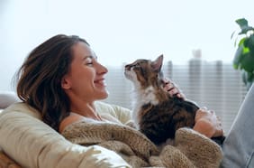 Tener un gato hace a las personas más felices, según un estudio realizado en 93 países