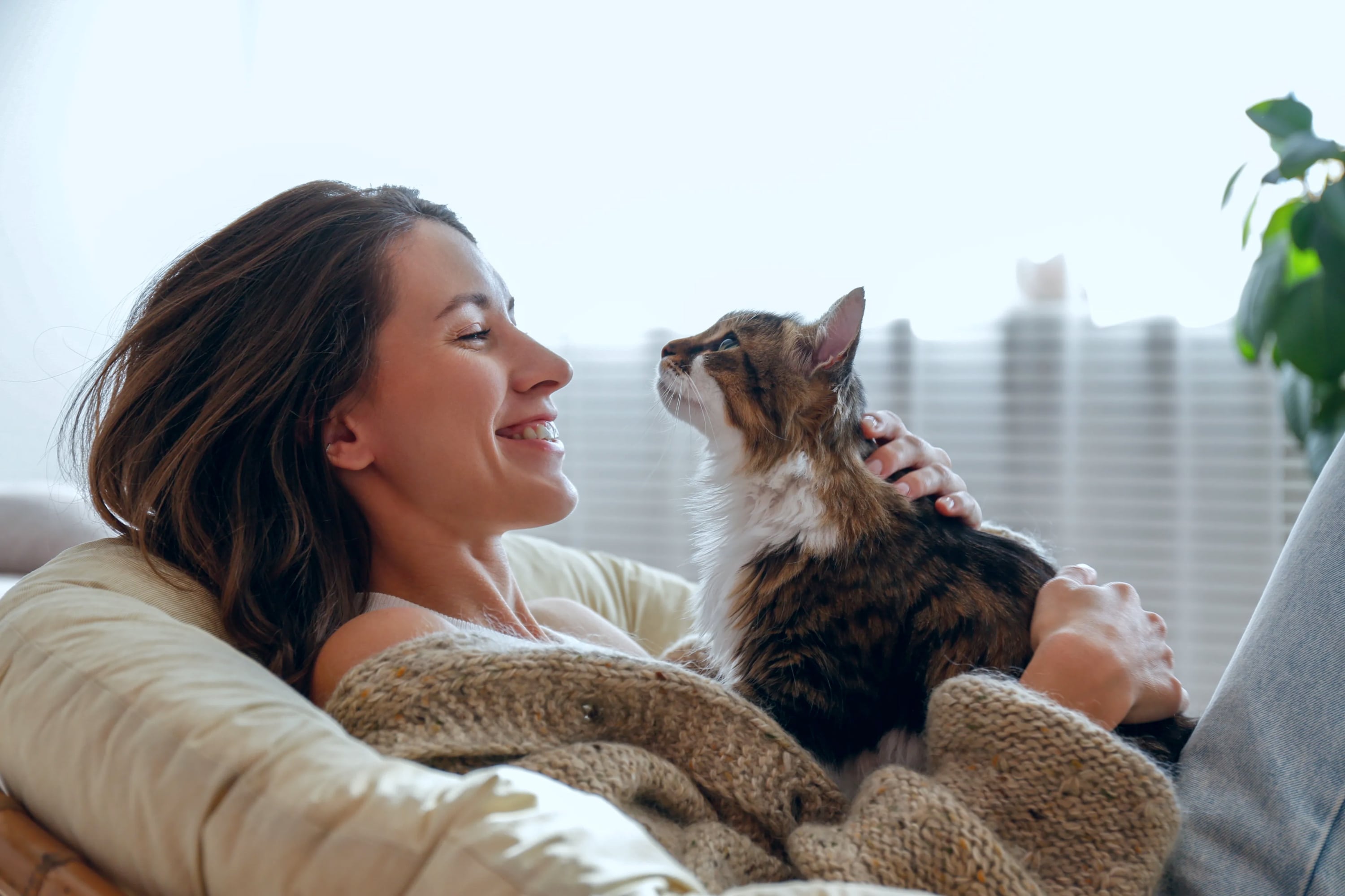 Tener un gato hace a las personas más felices, según un estudio realizado en 93 países