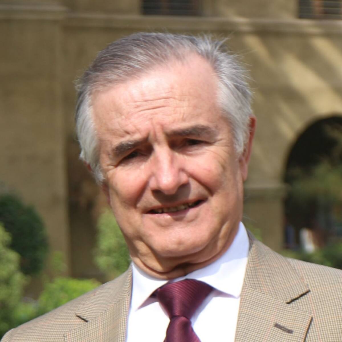 Manuel José Irarrázaval
