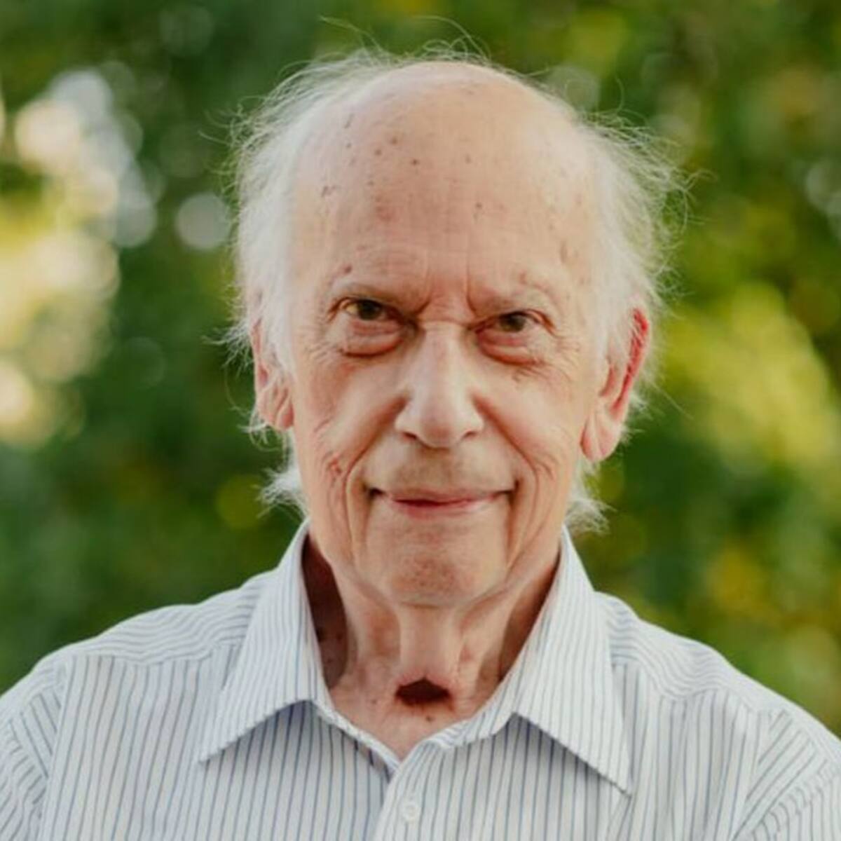 Milan Ivelic