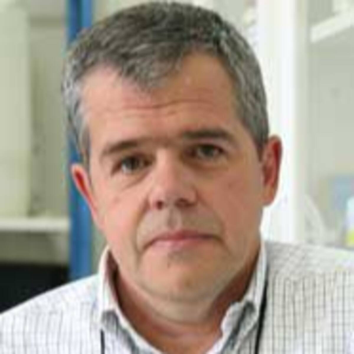 Enrique Brandan