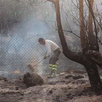 Tres bomberos lesionados en incendio de Villa Alemana: uno de ellos presenta quemaduras en el 30% de su cuerpo