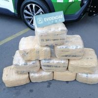 OS7 de Carabineros incauta más de 44 kilos de droga tras operativo en Antofagasta