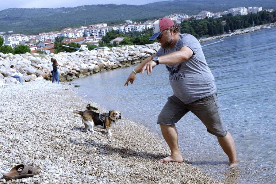 Dogs beach and carnival to promote town to tourists