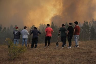 Bono de Recuperación: beneficio para afectados por incendios forestales en Ñuble, Araucanía y Biobío