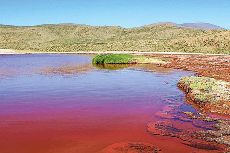 Laguna Roja