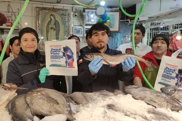 Sernapesca fiscaliza veda de explotación de la merluza austral y se prepara para la prohibición de la merluza común 