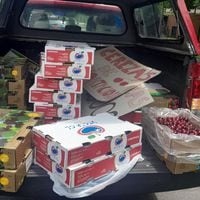 Las Condes: decomisan cajas de cerezas y cursan infracción por venta ilegal en vía pública