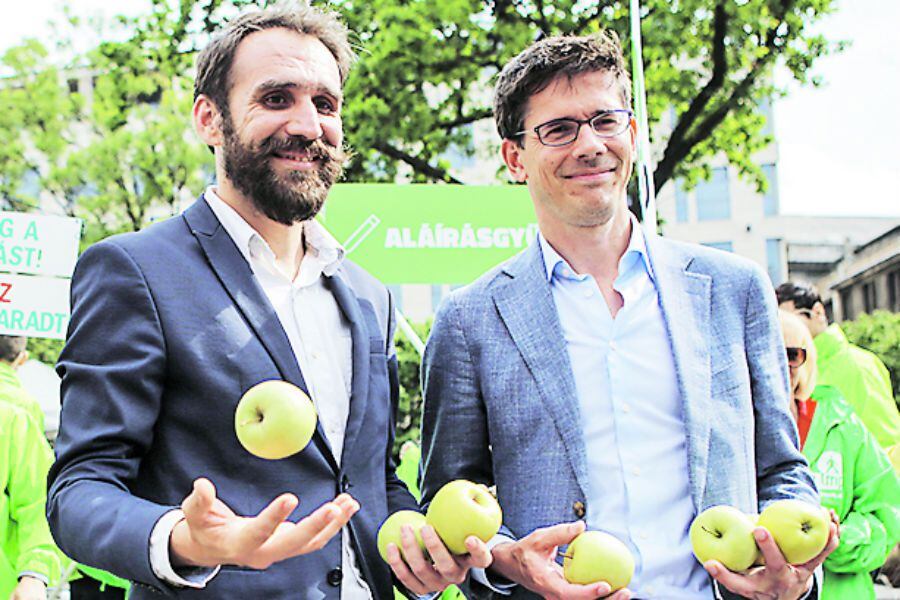 Members of the European Greens party Gabor Vago and Bas Eickhout campaign for the European (45644955)