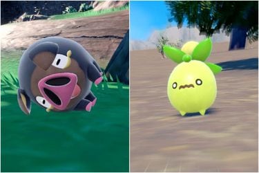 Los nuevos Pokémon Lechonk y Smoliv se roban el corazón de los fans y protagonizan los memes y fan-arts 