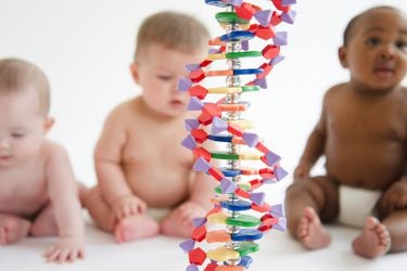 Súper humanos: La polémica y revolucionaria técnica de "reescribir el ADN”, que ganó el Nobel de Química 2020 