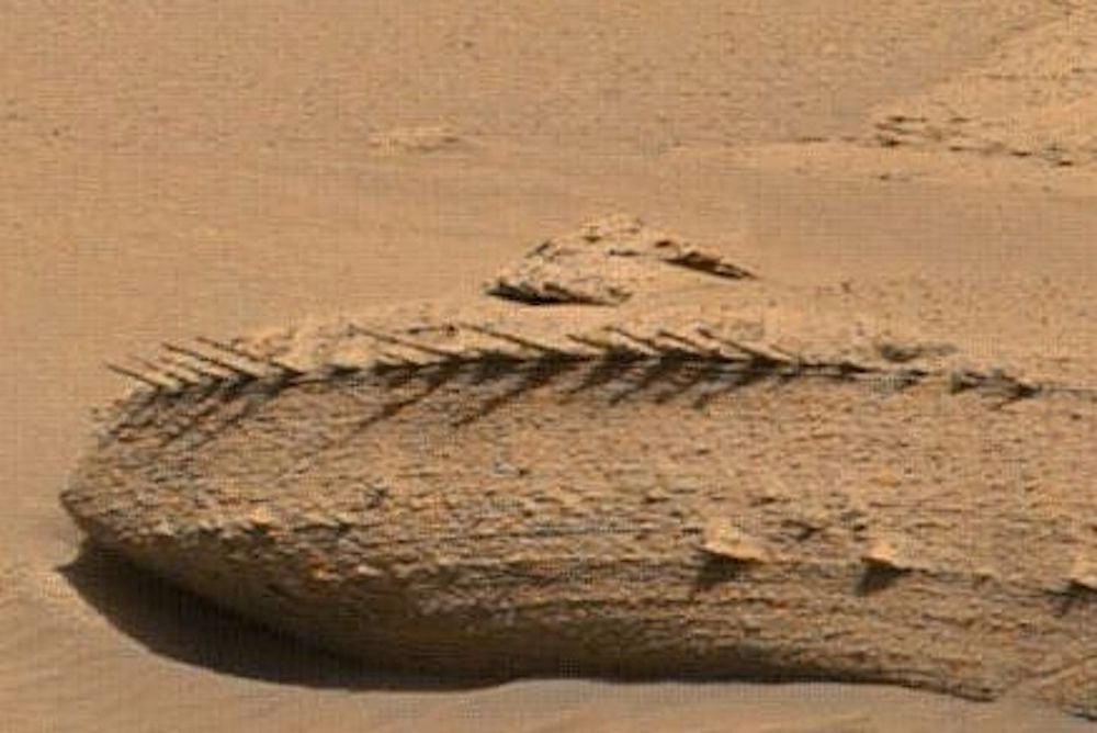 Rover de la Nasa detecta extraña roca con forma de hueso en Marte - La Tercera