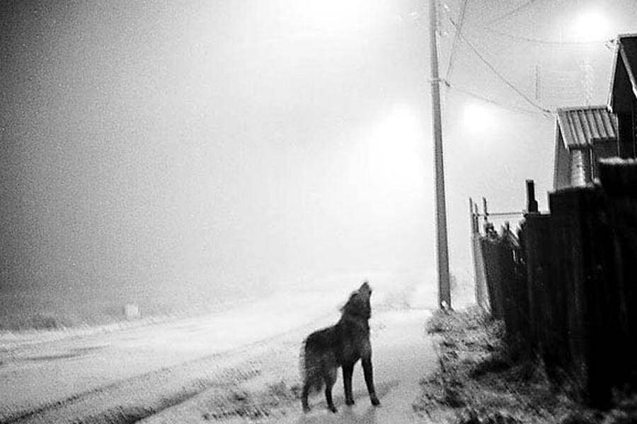 De la serie Vida cotidiana Coyhaique, Aysén (2015), parte del trabajo del fotógrafo Fabián España.