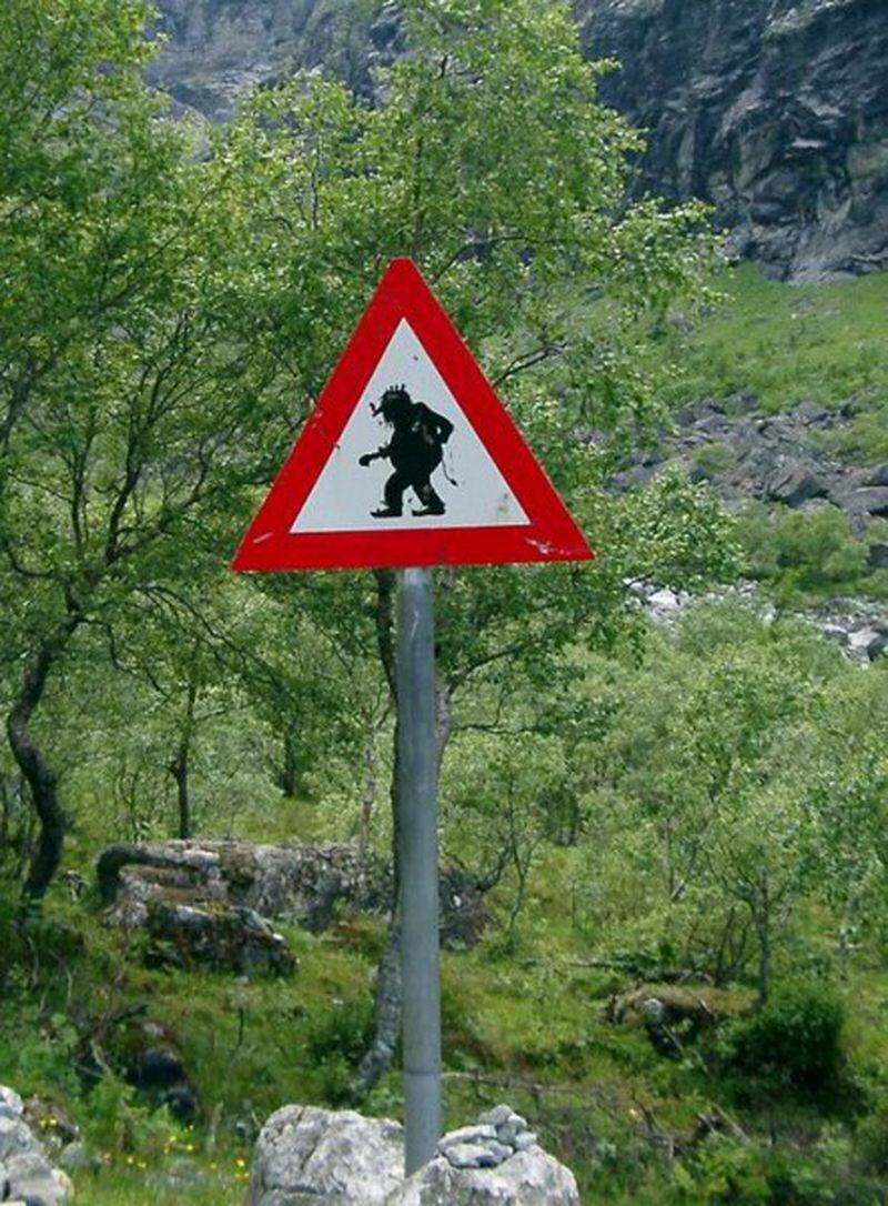 Algunas de las señales de tránsito más extrañas del mundo - La Tercera